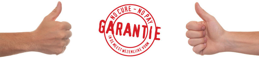 No cure No pay